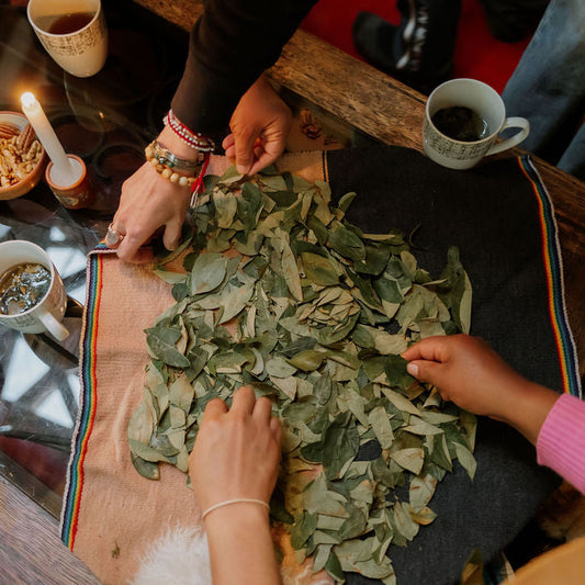 Runa Inca Energy Medicine