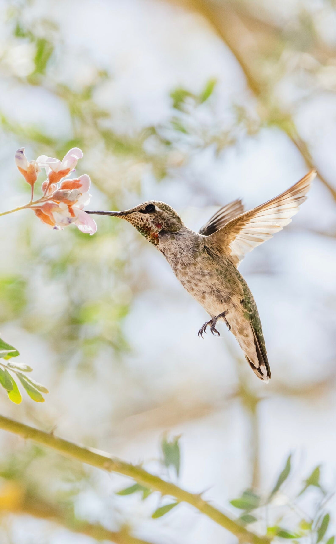 Bist auch du spontan?