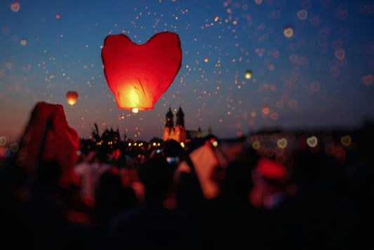 FESTIVAL HERZ