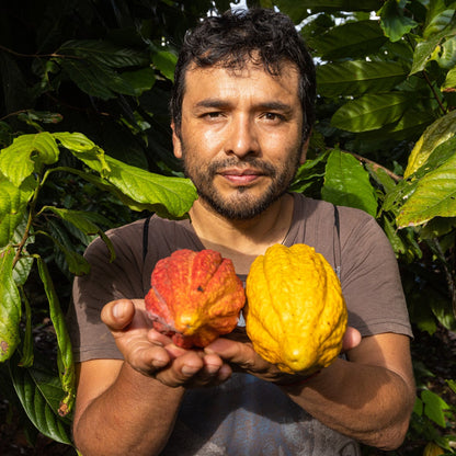 Modul 1 Course - Daily Cacao