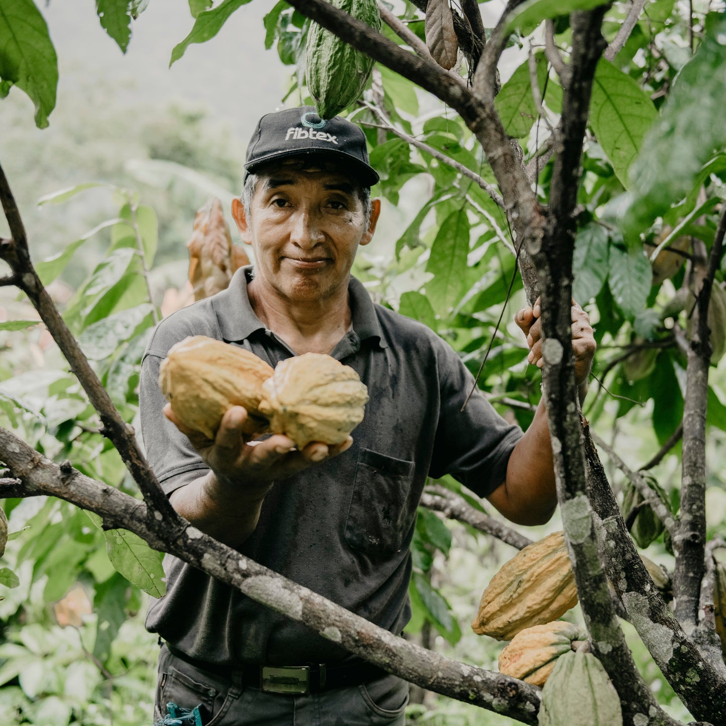 Modul 2 Course - Cacao Celebration