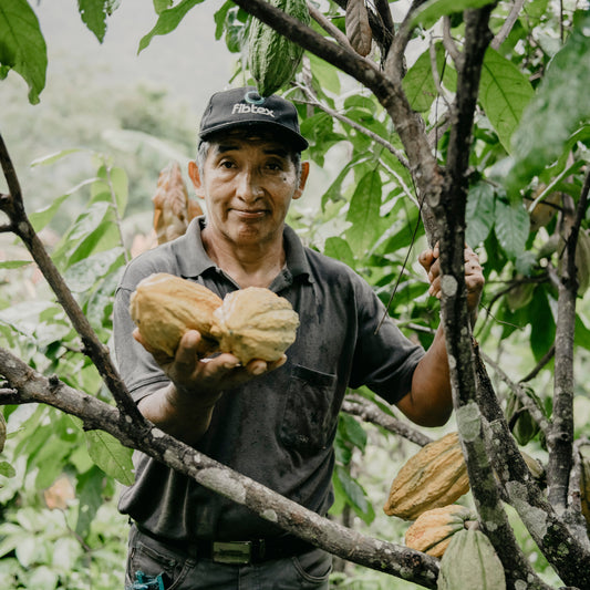 Modul 2 Course - Cacao Celebration