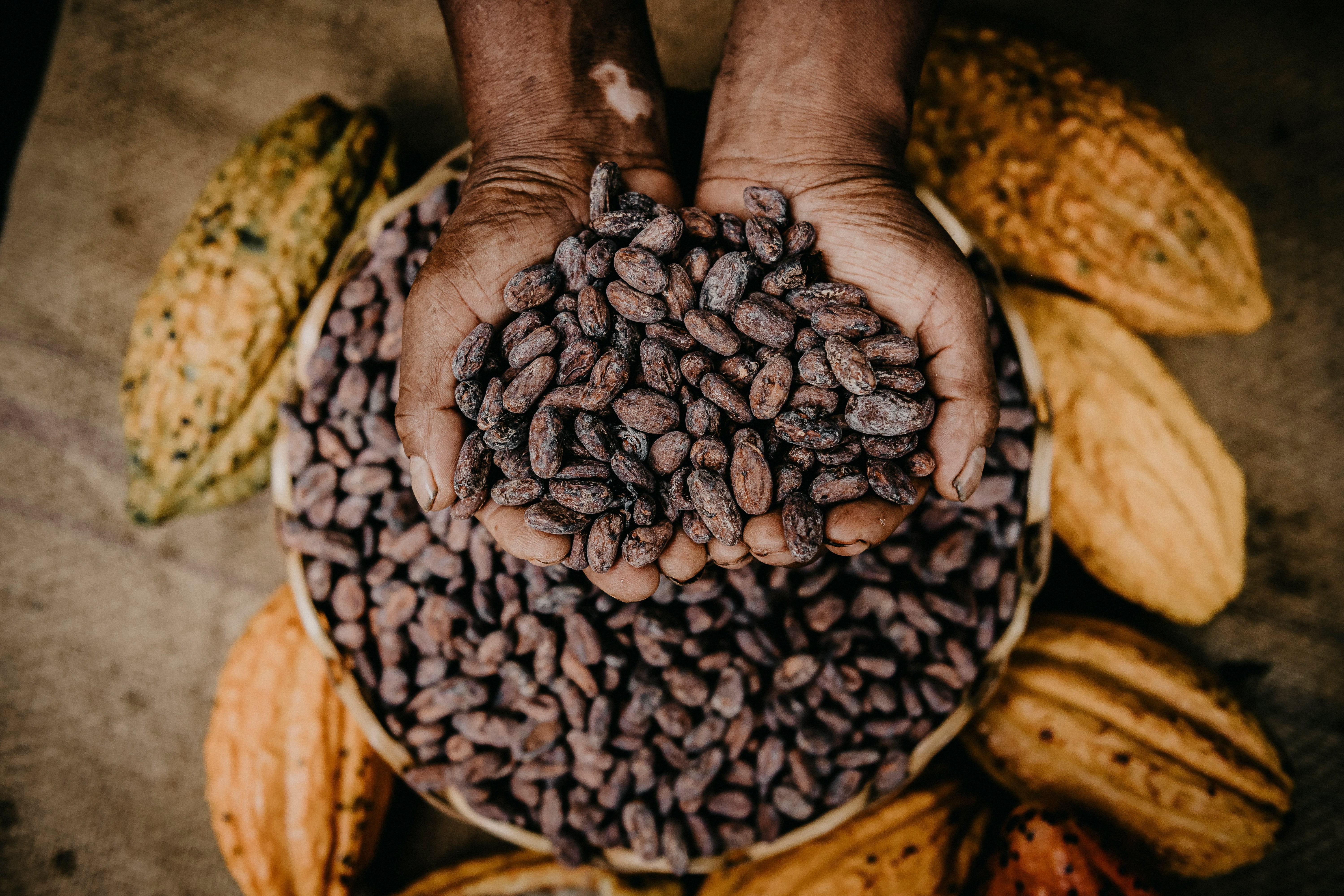 Modul 3 | Retreat Deutschland 