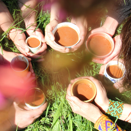Module 3 Cacao Course - Cacao Ceremony (Retreat Switzerland) 