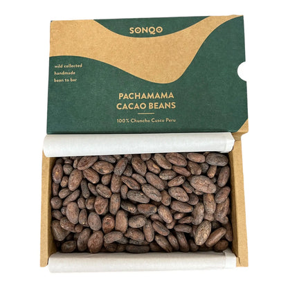 Cacao Bohnen - Geröstet