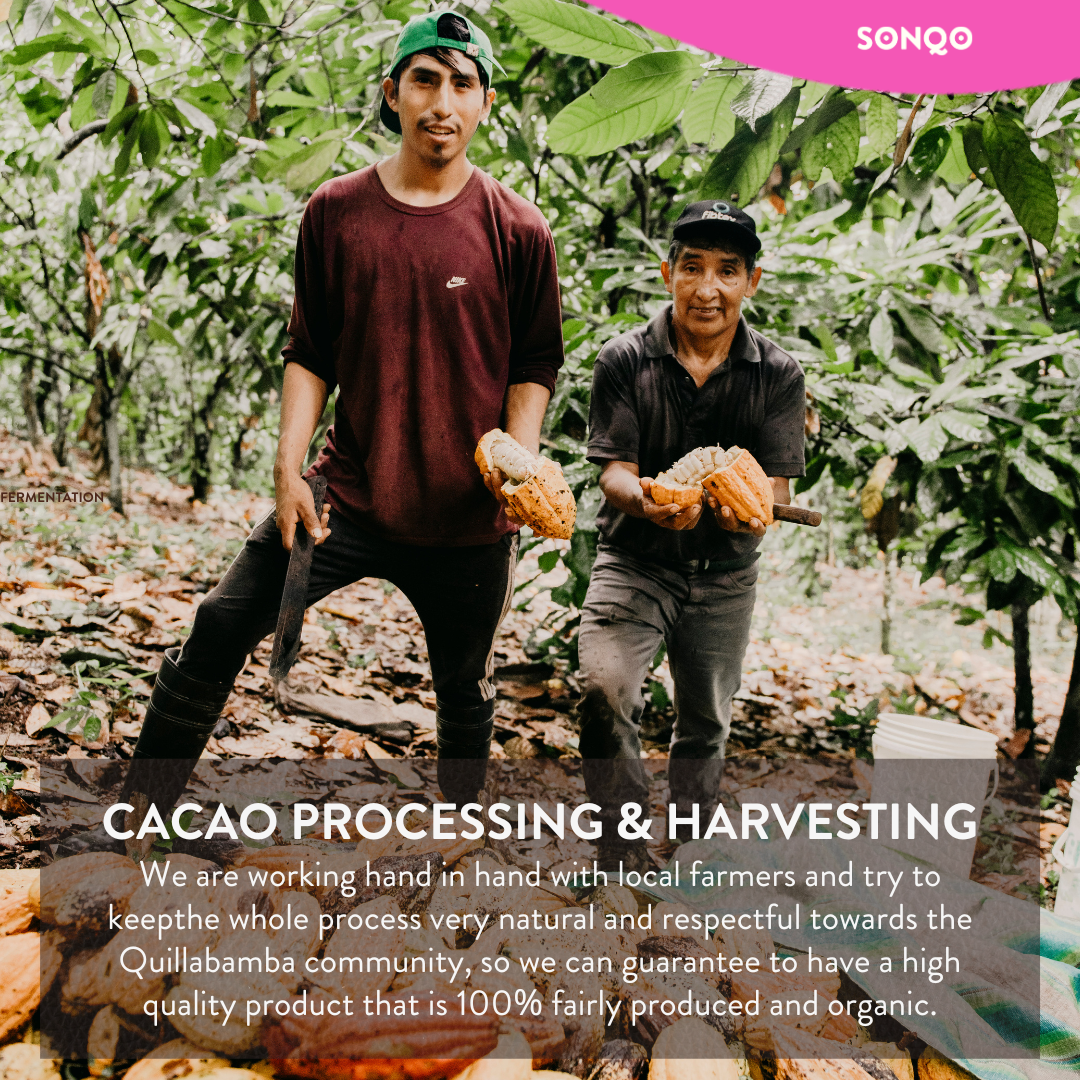 Pachamama Cacao | Premium Delight | Double Box